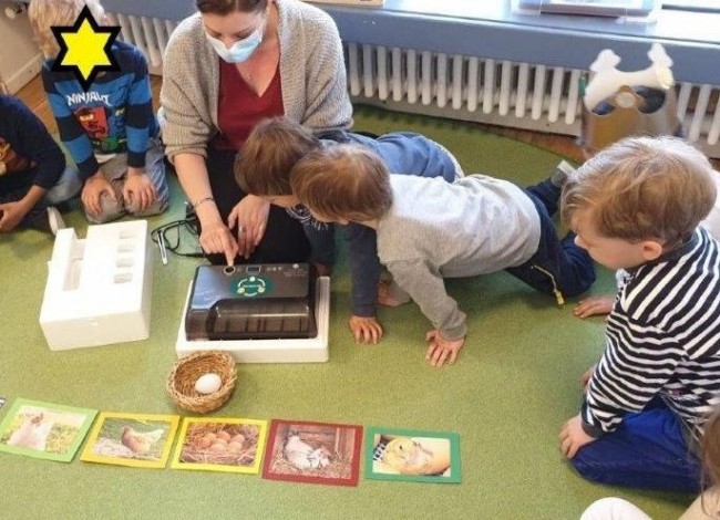 Kindergarten, Projekt Küken