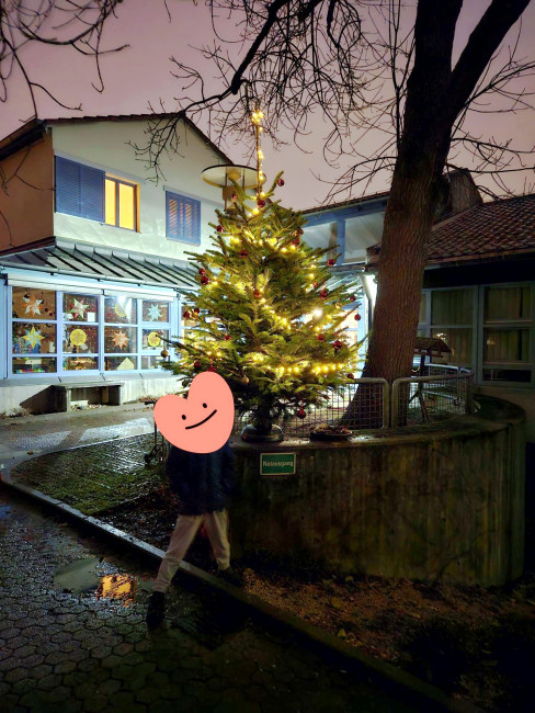 christbaum_kiga