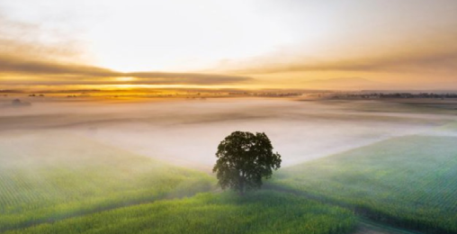 passionsandachten_2025