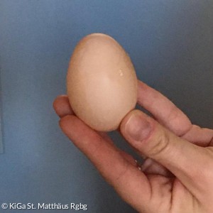 Erstes Ei