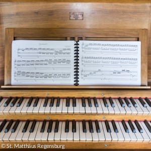 Die Manuale der Orgel