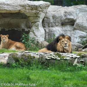 tierpark_grafik_3